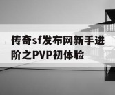 传奇sf发布网新手进阶之PVP初体验