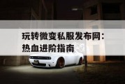 玩转微变私服发布网：热血进阶指南