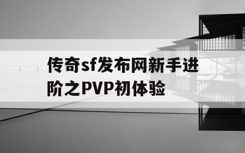 传奇sf发布网新手进阶之PVP初体验